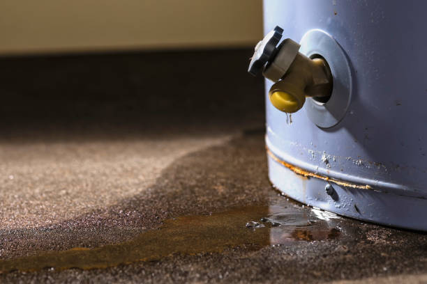 Best Flood restoration services  in Worcester, MA