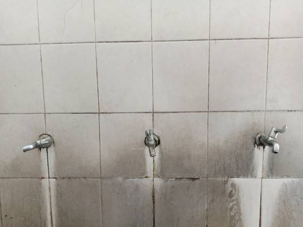 Best Water damage restoration services  in Worcester, MA