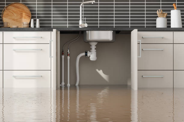 Best Professional water damage repair  in Worcester, MA