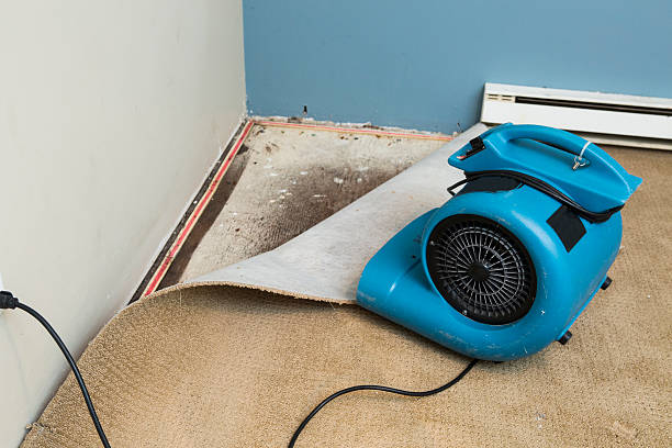 Best Residential water damage restoration  in Worcester, MA